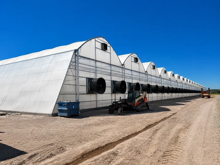 New Large-Scale Broiler Poultry Farming Project Launched in Mozambique with 3 Modern Poultry Houses & Automated Battery Cage System