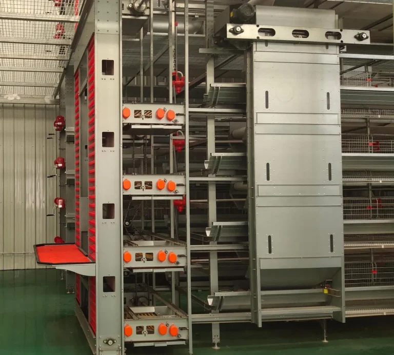 How Automated Poultry Farm Equipment Helps Modern Farms Reduce Labor Costs
