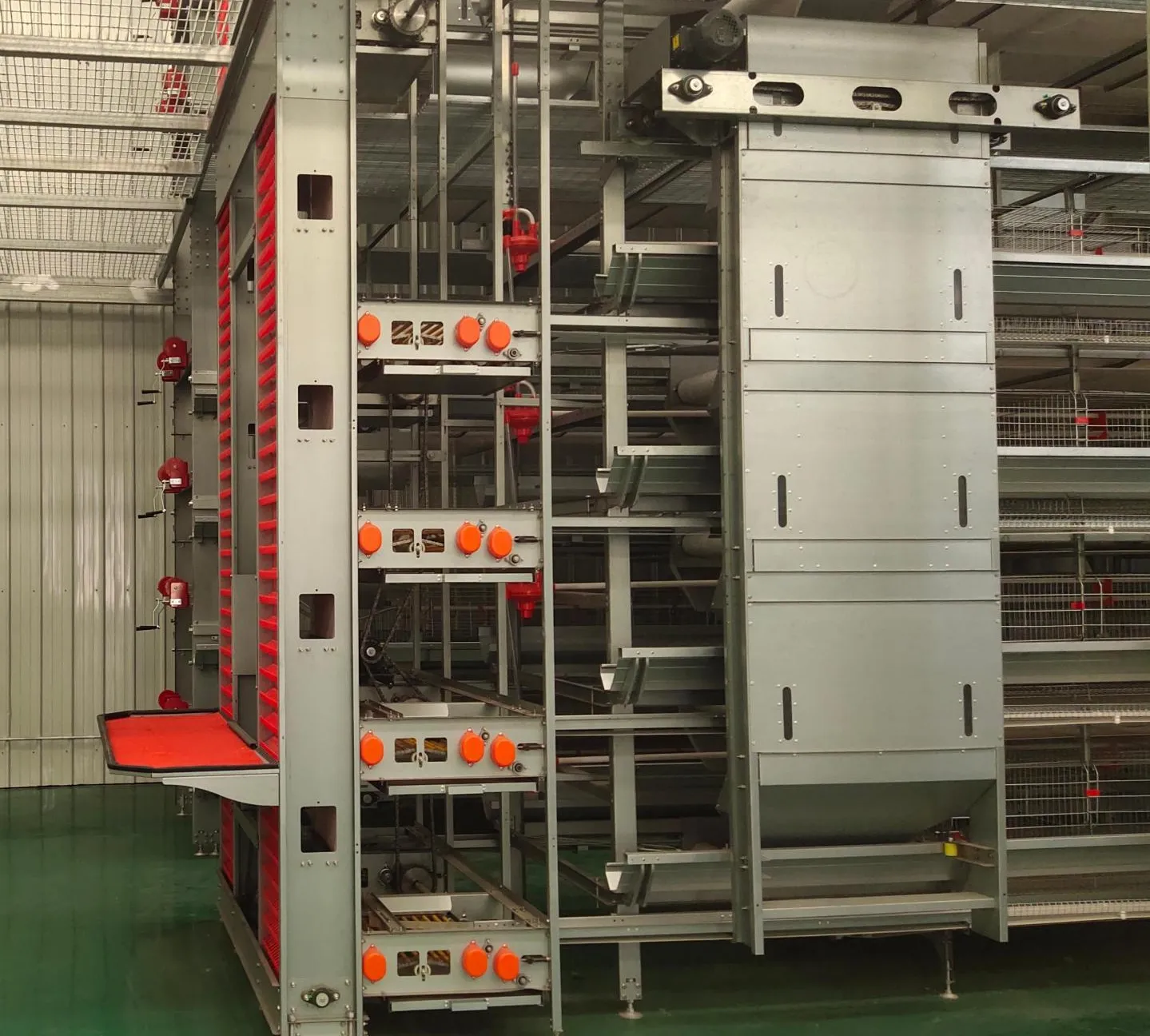 Advanced Equipment in Poultry Production: Automated H-Type Cages for Poultry Transform Layer Farming in Nigeria 2 Advanced Equipment in Poultry Production: Automated H-Type Cages for Poultry Transform Layer Farming in Nigeria 1