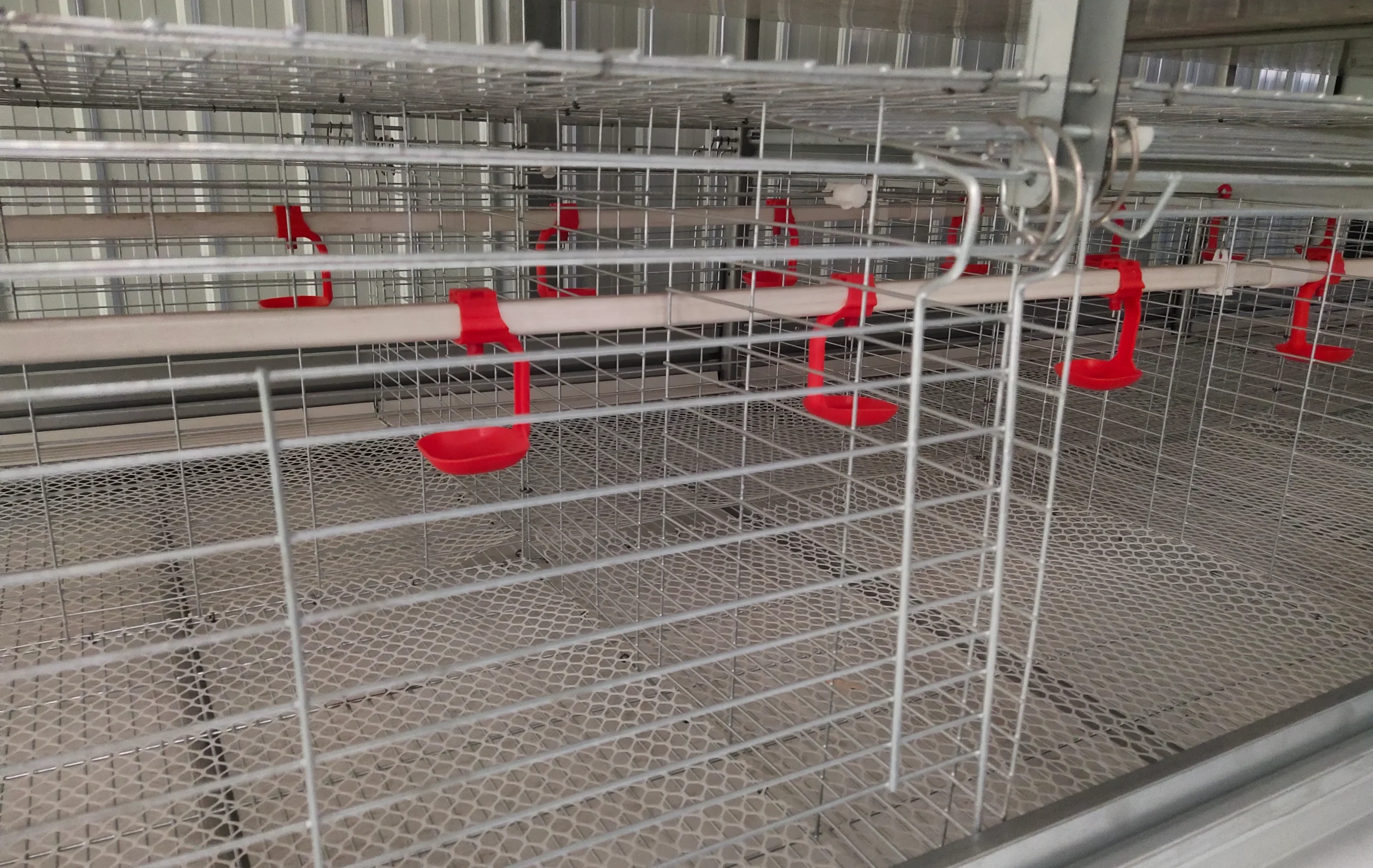 Advanced Equipment in Poultry Production: Automated H-Type Cages for Poultry Transform Layer Farming in Nigeria 6 Advanced Equipment in Poultry Production: Automated H-Type Cages for Poultry Transform Layer Farming in Nigeria 5