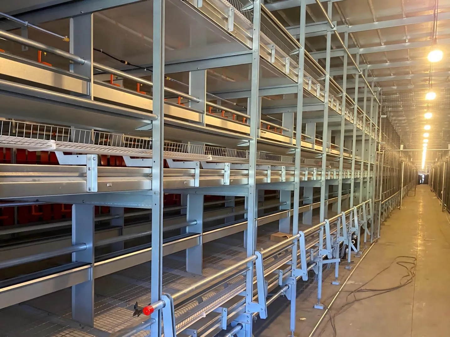 Leading Poultry Farm Equipment Supplier Completes State-of-the-Art Four-Tier Welfare Cage Installation in European Project 3 Leading Poultry Farm Equipment Supplier Completes State-of-the-Art Four-Tier Welfare Cage Installation in European Project 2