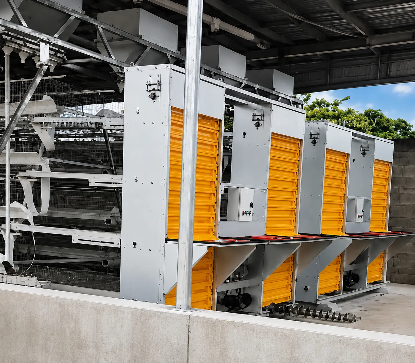 South Africa 40,000 Birds A-Type Automatic Layer Farming Project 3