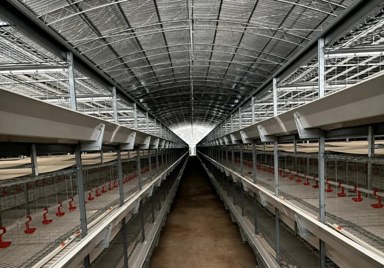 Fully Automatic Turnkey System for Broilers: What’s Included
