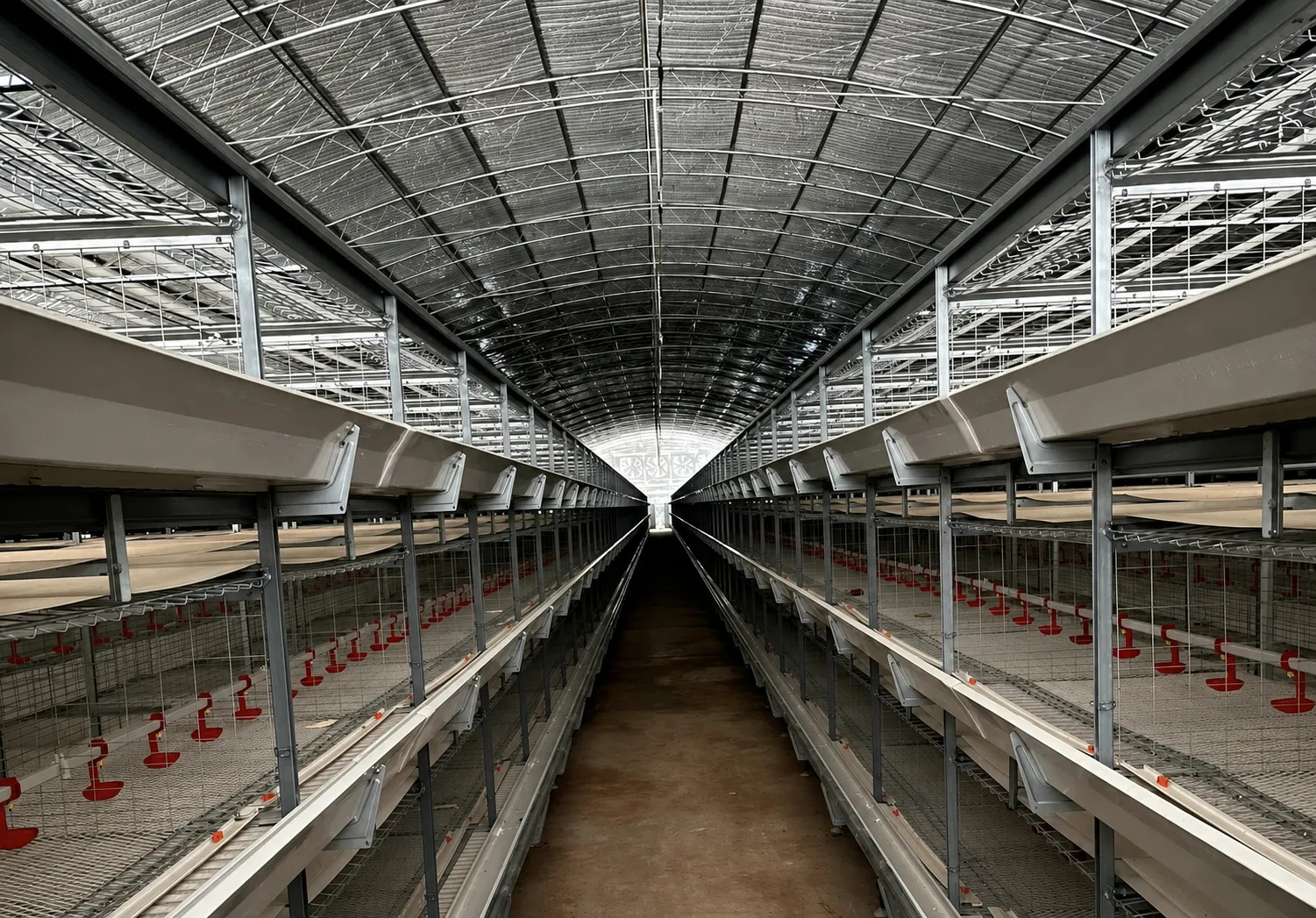 Turnkey Broiler Chicken Farming Equipment Project 6 Turnkey Broiler Chicken Farming Equipment Project 5