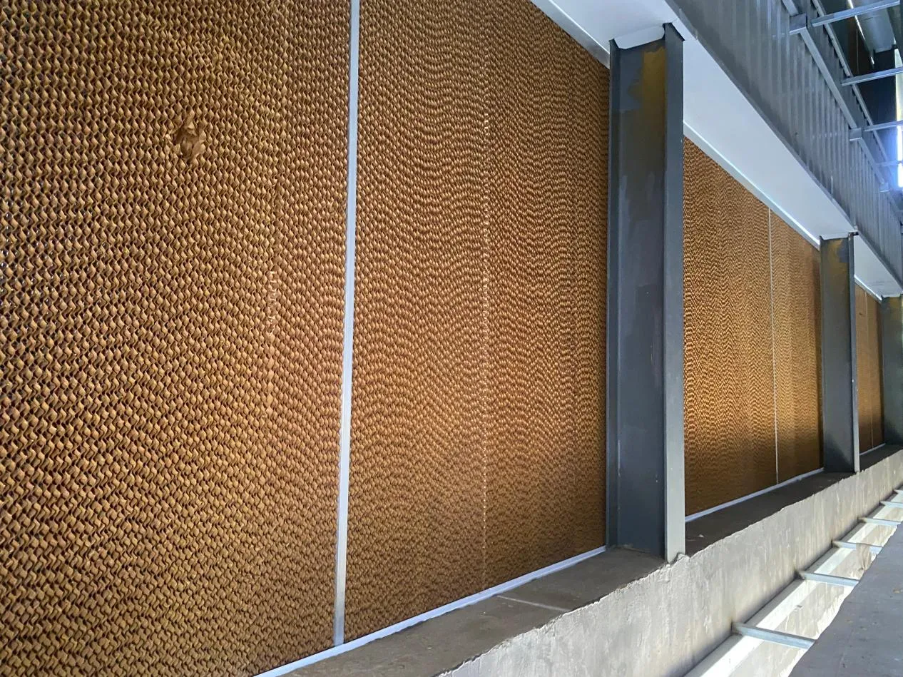 The Critical Role of Poultry Ventilation System in Modern Poultry House Construction and Bird Health Management 3 Poultry Ventilation System