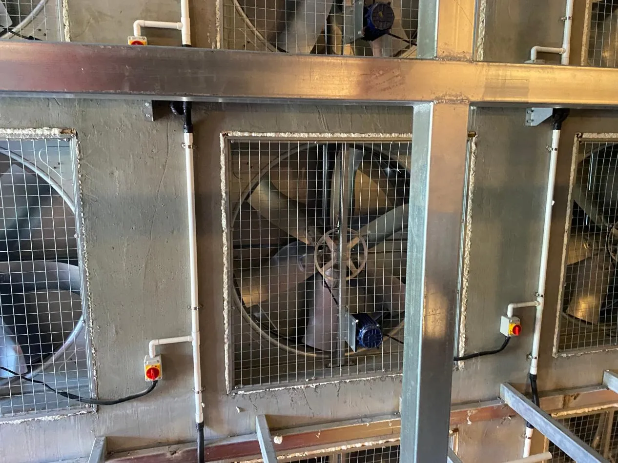 The Critical Role of Poultry Ventilation System in Modern Poultry House Construction and Bird Health Management 2 Poultry Ventilation System