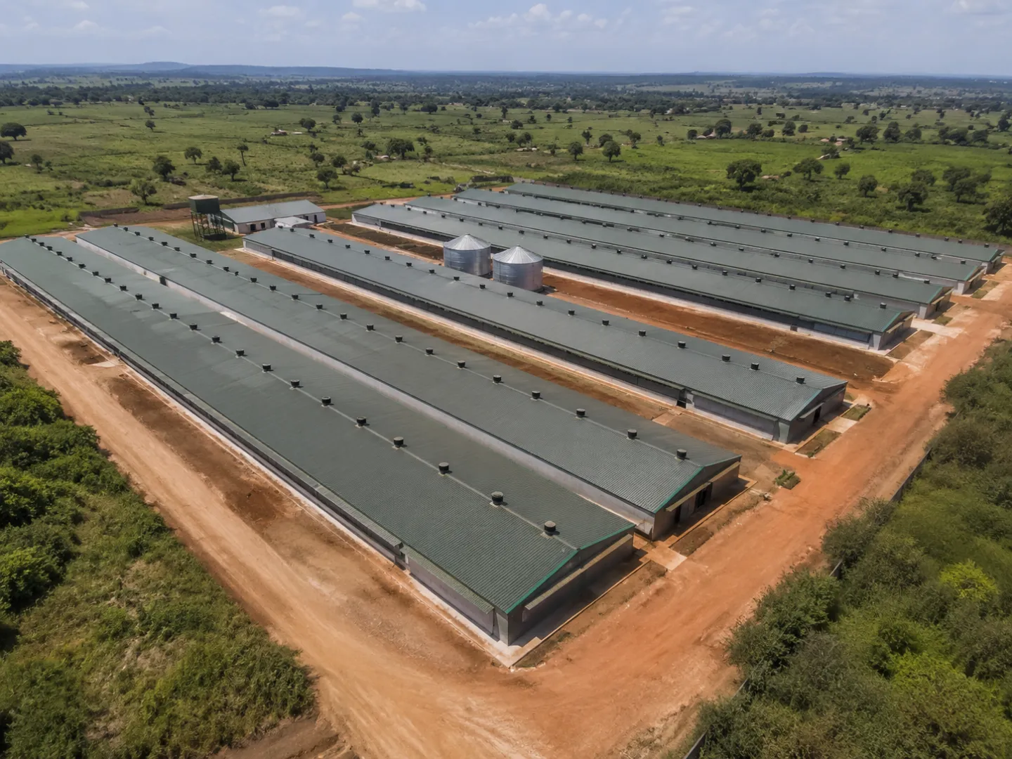 Turnkey Broiler Chicken Farming Equipment Project 2 Turnkey Broiler Chicken Farming Equipment Project 1