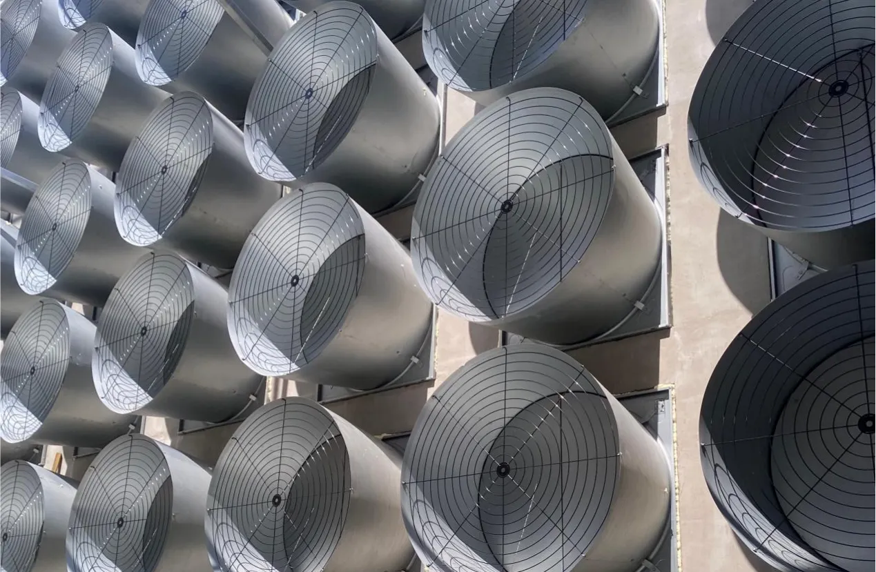 The Critical Role of Poultry Ventilation System in Modern Poultry House Construction and Bird Health Management 1 Poultry Ventilation System