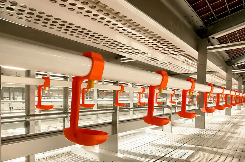 Automatic enriched cage aisle view