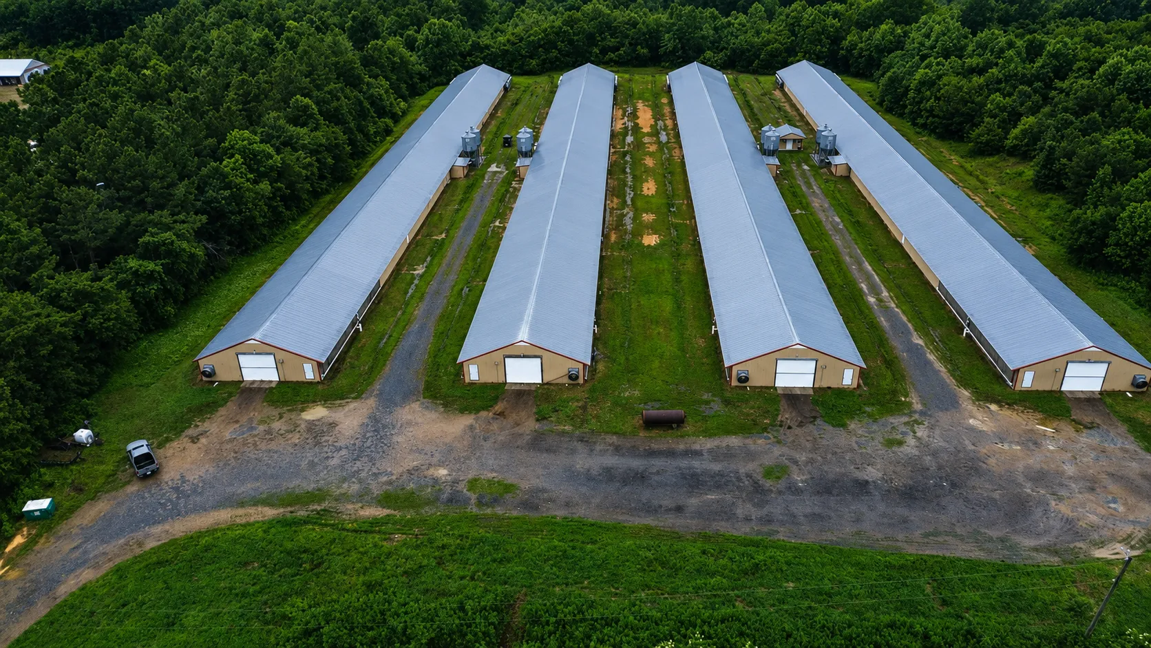 Shandong Mugong Farming Equipment Co., Ltd. Launches 500,000‑Broiler Turnkey Project in South Africa 1 Broiler Turnkey Project in South Africa