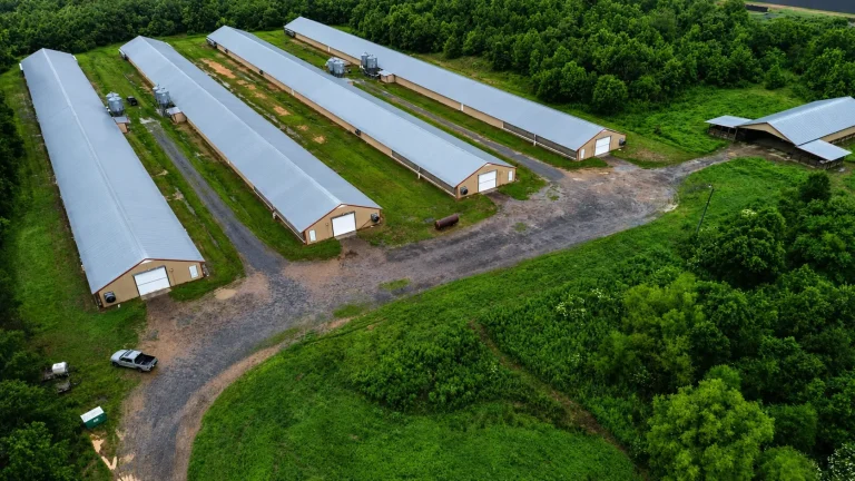Shandong Mugong Farming Equipment Co., Ltd. Launches 500,000‑Broiler Turnkey Project in South Africa