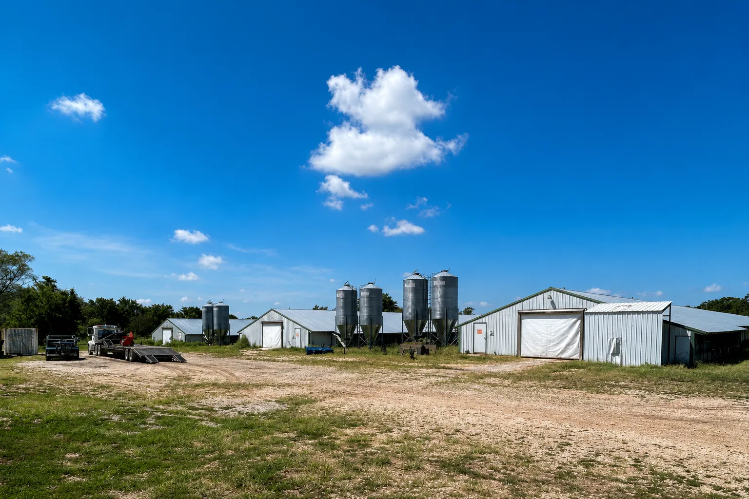 Malawi Launches Modern Integrated Layer Chicken Farm Project with Automated H-Cage System 9 Malawi Launches Modern Integrated Layer Chicken Farm Project with Automated H-Cage System 8