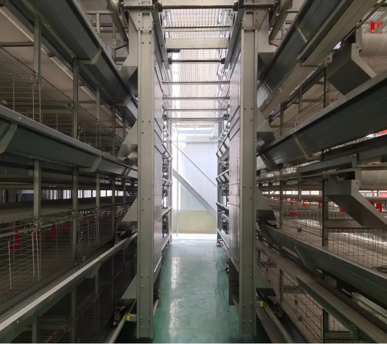 Innovations in Poultry Shed Construction: How Modern Building Techniques Are Reshaping the Poultry Industry 2 Innovations in Poultry Shed Construction: How Modern Building Techniques Are Reshaping the Poultry Industry 1