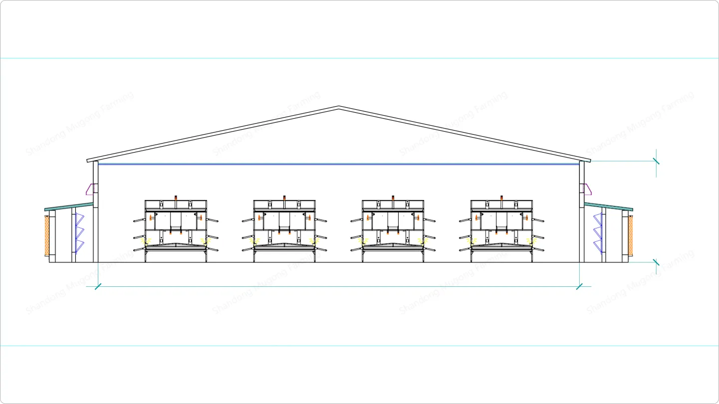 Enriched cage specification diagram