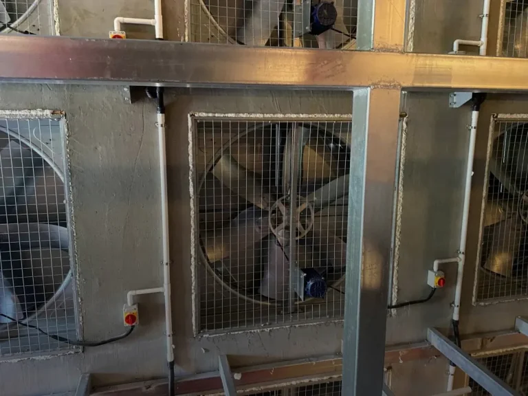 Layer Poultry Farm Equipment – Reliable Equipment Used in Poultry Production for Optimizing Cage Poultry Farming