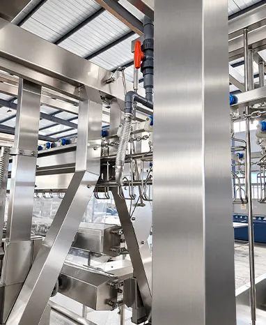 Broiler Slaughter System