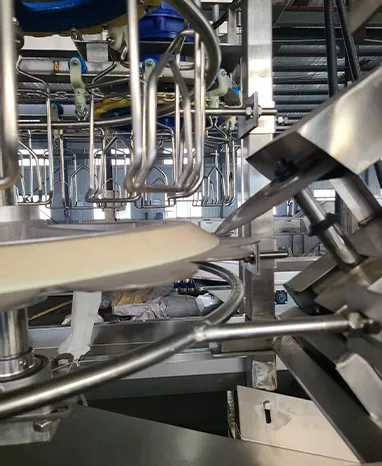 Broiler Slaughter System