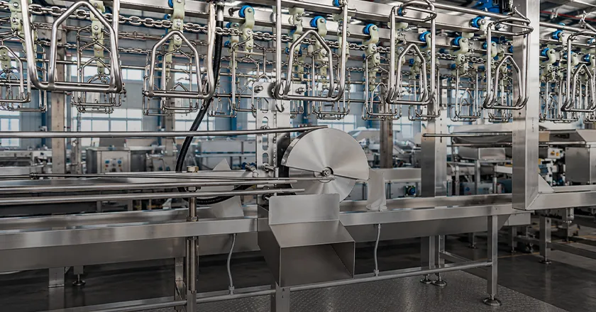 Broiler Slaughter System
